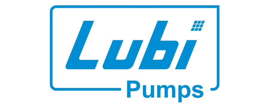 Lubi Pumps Logo